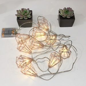 10 ft decorative string lights.